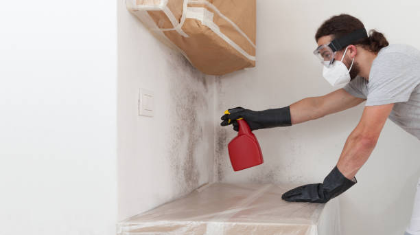 Professional Crawl Space Mold Remediation technician working in North Arlington, NJ