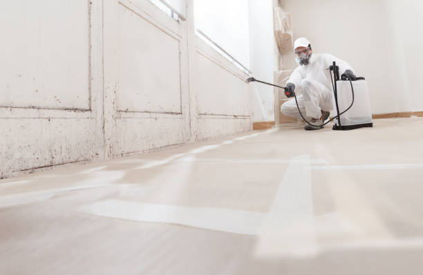 24/7 Emergency Crawl Space Mold Remediation experts in North Arlington, NJ